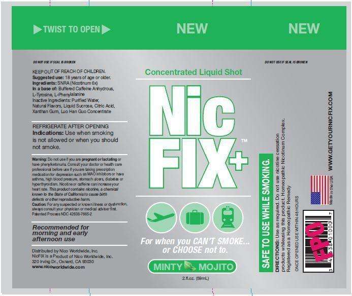 NicFix Plus